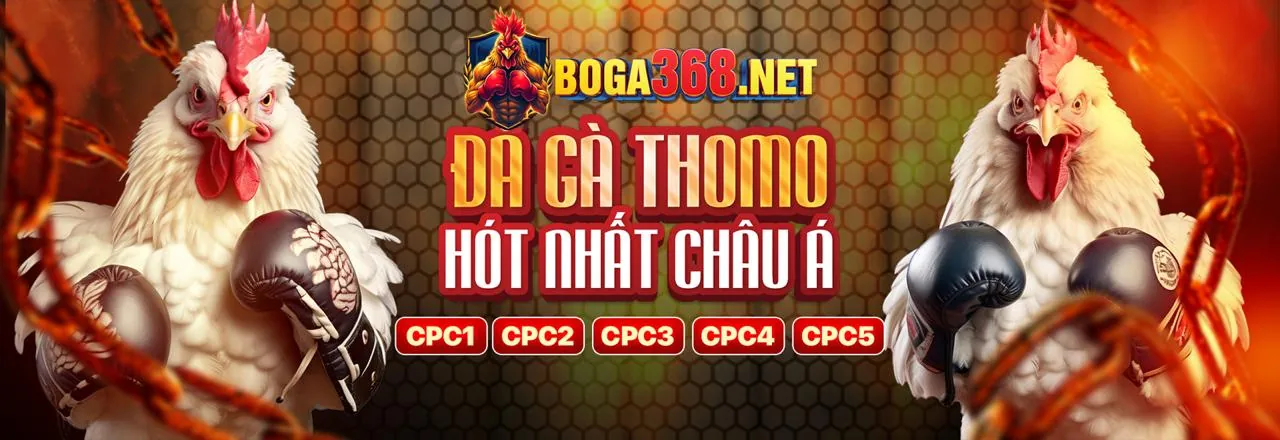 Hình ảnh Điều Khoản và Điều Kiện 7ball khuyến mãi, thể hiện sự minh bạch và đáng tin cậy